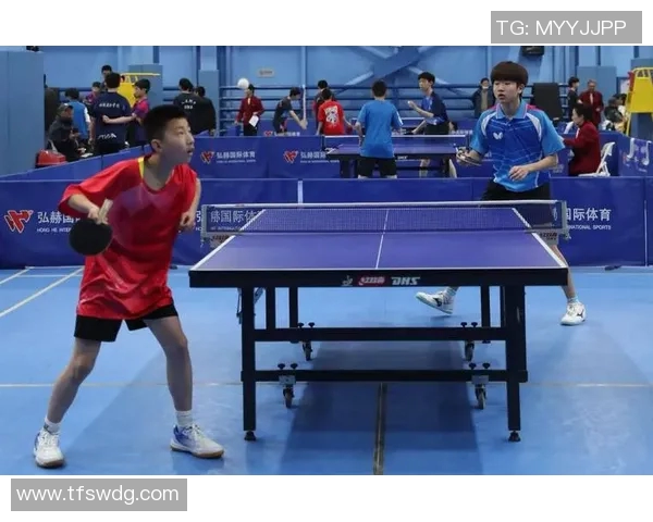 乒乓球比赛经验排行榜揭晓北京乒乓球队荣登第十位引发关注